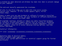 Captura de pantalla de un erro grave producido en el sistema operativo Windows.