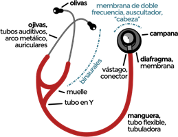 Fonendoscopio