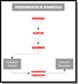 Esquema que en la parte superior lleva el título 'Procedimientos de diagnóstico'. Hacia abajo, hay una serie de palabras encadenadas por líneas: Proteger – Alertar – Socorrer – Evaluación primaria – consciencia / respiración – Evaluación secundaria.