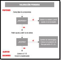 Esquema de valoración primaria.