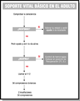 Soporte vital básico en adultos.