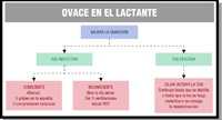 Esquema con  el título OVACE en el lactante.