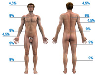 Ilustración de un cuerpo masculino desnudo en la que cada zona corporal está marcada con el porcentaje con el que se corresponde.