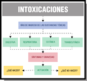 Ilustración en la que se ve un cuadro superior con la indicación 'vías de ingreso de las sustancias tóxicas' debajo hay cuatro cuadros en tono verde con las vías: digestiva, cutánea, respiratoria, trascutánea. Las cuatro se reúnen en un cuadro rojo con la indicación 'sintomas y gravedad'. De este cuadro una flecha parte hacía un cuadro inferior verde con la indicación de 'actuación'. A ambos lados dos cuadros amarillos con el texto 'qué hacer' y 'qué no hacer'.