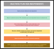 Esquema en el que se recogen los objetivos del plan individual de vida independiente.