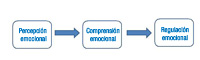 Diagrama de flujo que expresa la relación entre percepción, comprensión y regulación emocional.