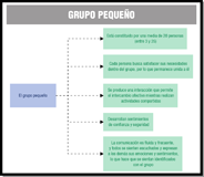 Esquema que explica las principales características que definen a un grupo pequeño.