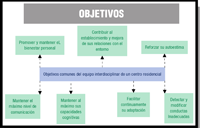 Esquema resumen sobre los objetivos comunes del equipo interdisciplinar de un centro residencial.