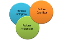 Gráfico de tres círculos entrelazados que representa la interrelación de los factores de desarrollo en psicología evolutiva.