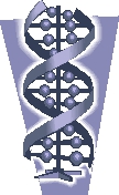 Representación gráfica de una cadena de ADN donde se almacena la información genética