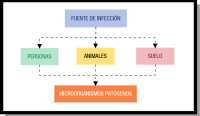 Imagen donde se esquematiza qué o quién puede constiruir una fuente de infección.