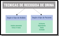 Titulo encuadrado del que salen dos flechas hacia dos recuadros donde se recogen las técnicas de recogida según el tipo de análisis y de paciente.