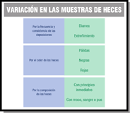 Esquema compuesto por un título y bajo éste tres  recuadros, en vertical, unos tras otros donde se recogen las variaciones en las muestras de heces.