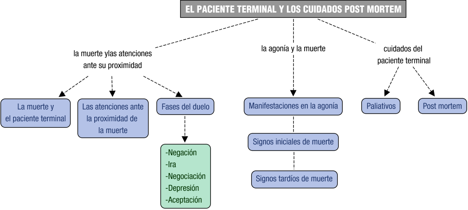 Descripción del mapa conceptual de AH05