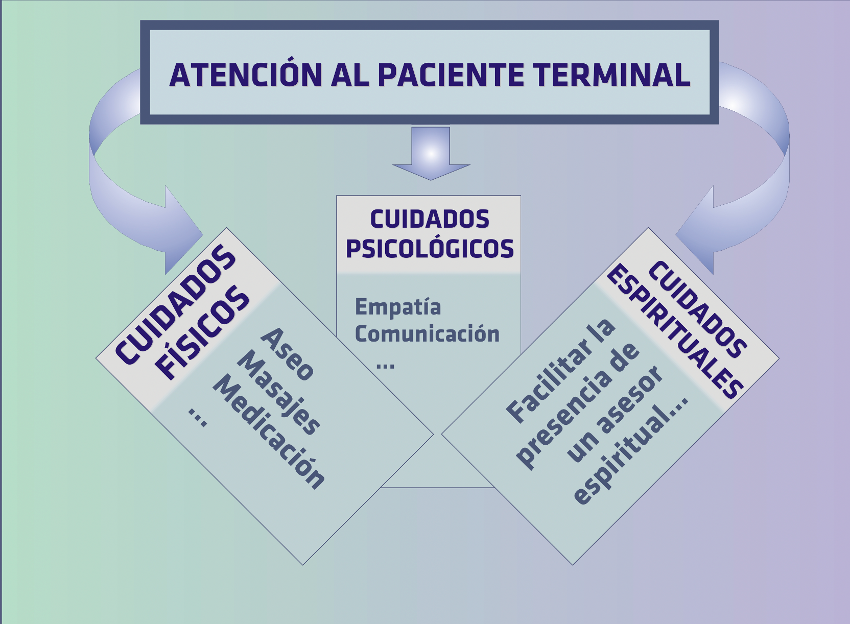 AH05_ATENCIÓN-PACI-TERMINAL.png