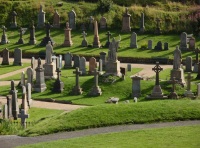 Panorámica de un cementario con lápidas y cruces sobre un jardín.