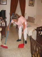  Cepillo de escoba de mano para cama del hogar, cepillos de  limpieza de alfombras de sofá, cepillo suave de mango largo para plumero,  dormitorio, encimera, carpintería, jardinería, muebles, cepillo de limpieza  (