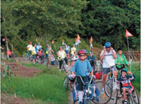 Grupo de personas usuarias de sillas de ruedas en un tramo del Camino de Santiago.atentamente.