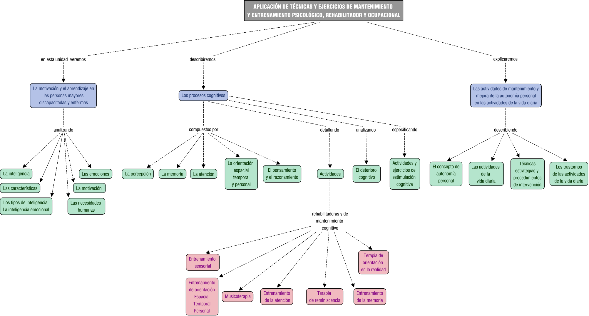 Descripción del mapa conceptual de AAP03