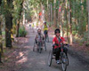 En la imagen aparece un grupo de tres personas paseando en bicicletas adaptadas en un bosque.