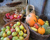 Fotografía de Cuatro cestas grandes con distintas variedades de frutas y hortalizas (peras, manzanas, calabazas, pimientos).