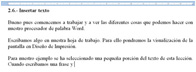Pantalla mostrando como insertar texto.