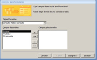 Ventana principal del asistente para formularios.