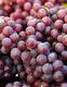 Uvas.