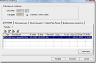 Imagen de la ventana de incidencia.