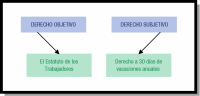 Esquema para diferenciar Derecho objetivo y subjetivo a través de un ejemplo: ejemplo de Derecho Objetivo es el estatuto de los trabajadores y ejemplo de Derecho Subjetivo es Derecho a 30 días de vacaciones anuales.