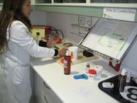 Aparece una mesa de oficina llena de papeles desordenados.