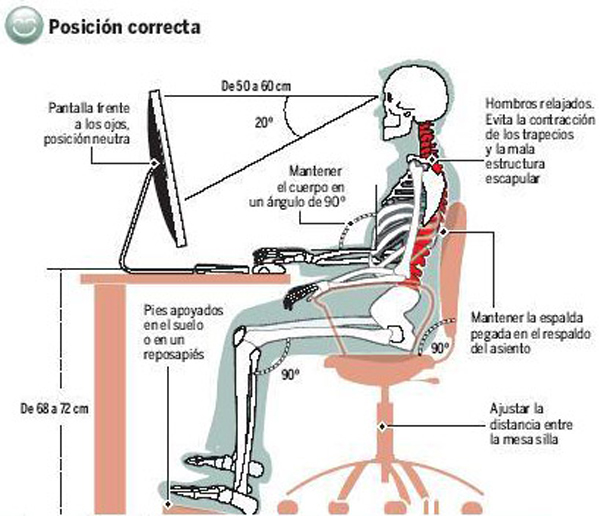 Aparece el esqueleto de una persona con la postura adecuada para el trabajo de oficina.
