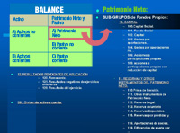 En esta imagen se ve una descripción del Patrimonio Neto, donde está situado dentro de un Balance y que grupos, subgrupos y cuentas lo forman.