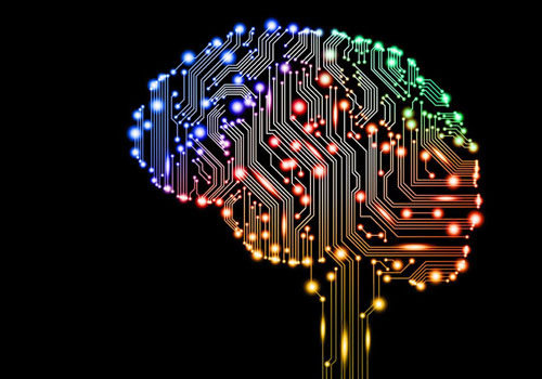 cerebro