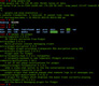 Búsqueda eficiente a través de comandos. Captura de pantalla de Shell de Linux.