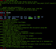 Búsqueda eficiente a través de comandos. Captura de pantalla de Shell de Linux.