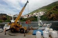 Barco mercancías descargando ganado.