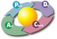 Un círculo con las acciones de planificar, revisar, hacer y actuar.