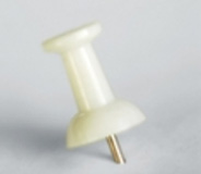 Chincheta blanca.