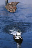 Barco transportando una masa de troncos.