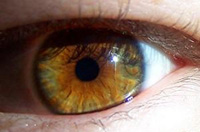 Ojo.