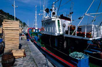 Barco pesquero amarrado en el muelle.