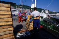 Región  pesquera con pescadores.