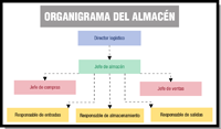 Organigrama de almacén. Organigrama de almacén con la siguiente estructura jerárquica: director logístico, del que depende el jefe de almacén, del que dependen los jefes de entrada, almacenamiento y salidas. Al mismo nivel que el jefe de almacén están los jefes de ventas y compras.