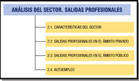 Se recogen las distintas salidas profesionales en el sector profesional: Características del sector, en el ámbito privado , en el ámbito público,  y el autoempleo.
