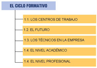 Se detallan los aspectos  a considerar en el análisis del ciclo formativo: El título, el futuro profesional,  los técnicos en las empresa, el nivel académico, el nivel profesional. 