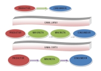 Ilustración que muestra el canal propio, representado por una circunferencia donde aparece el productor de donde sale una flecha directa hacia el consumidor representado en otra circunferencia.  Después aparece el canal indirecto largo donde de la circunferencia del productor sale una flecha al mayorista, de la circunferencia de este sale otra flecha que va a la circunferencia del minorista y de esta otra flecha que va al consumidor. Finalmente parece el canal indirecto corto que cada elemento también está representado por una circunferencia de donde sale una flecha del productor al minorista y de éste hasta el consumidor.