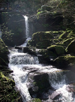 Paisaje de una cascada en medio de la vegetación.