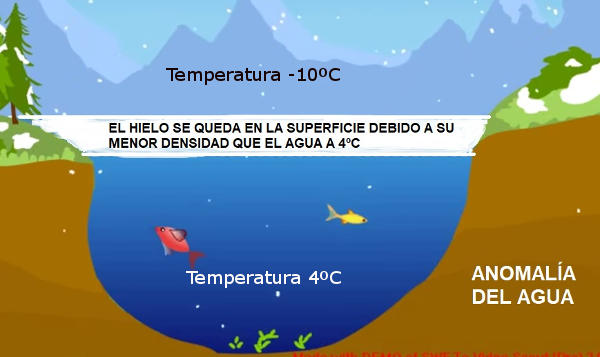 Anomalía del agua