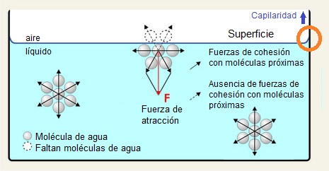 Tensión superficial debido a las interacción molecular